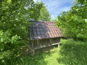 Prodej lesa, Šarovy, 11619 m2