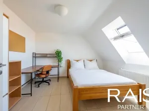 Prodej bytu 2+kk, Brno, Hálkova, 47 m2