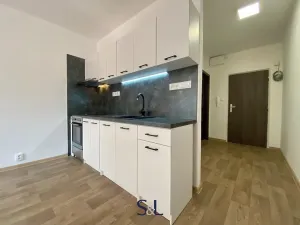 Pronájem bytu 1+kk, Nový Bor, Svojsíkova, 28 m2
