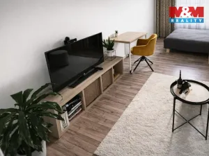 Pronájem bytu 1+1, Praha - Smíchov, Na Celné, 35 m2