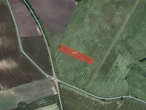 Prodej pole, Valtice, 11008 m2