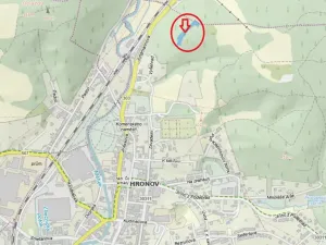 Prodej podílu lesa, Hronov, 1326 m2