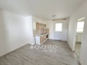 Pronájem ubytování, Brno, Cacovická, 371 m2