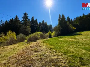Prodej louky, Stachy, 868 m2