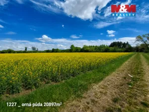 Prodej pozemku, Pňov-Předhradí, 151762 m2