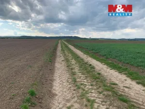 Prodej pole, Voděrady, 9520 m2