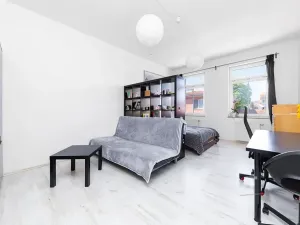 Prodej bytu 1+1, Brno, Spolková, 39 m2