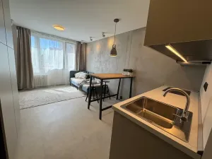 Pronájem bytu 1+kk, Praha - Záběhlice, Narcisová, 24 m2