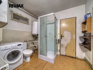 Prodej zemědělské usedlosti, Týnec nad Labem, 236 m2