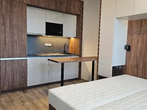 Pronájem pokoje, Praha - Michle, Na úlehli, 48 m2