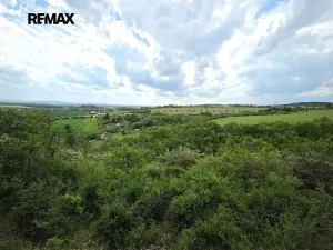 Prodej chaty, Viničné Šumice, 120 m2