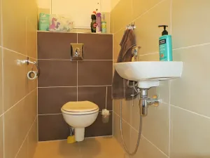 Pronájem bytu 2+kk, Brno, Říčanská, 50 m2