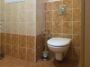 Pronájem bytu 1+kk, Brno, Dusíkova, 41 m2