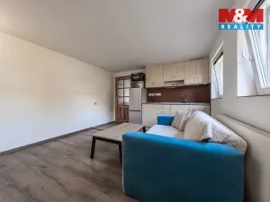 Pronájem bytu 1+kk, Březí, Jana Nepomuckého, 22 m2