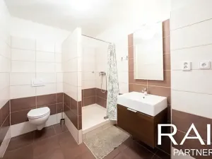 Prodej bytu 1+kk, Brno, Hálkova, 55 m2