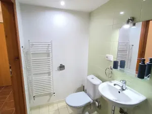 Pronájem bytu 1+1, Ústí nad Labem, Emy Destinové, 37 m2