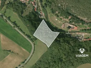 Prodej podílu lesa, Chlum, 1312 m2