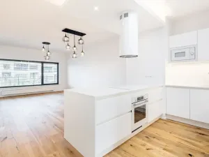 Pronájem bytu 3+kk, Praha, 101 m2