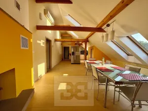 Pronájem bytu 3+kk, Velké Opatovice, Sokolská, 195 m2