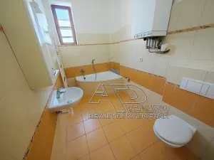 Pronájem bytu 2+1, České Budějovice, 72 m2