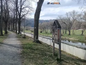 Prodej pozemku, Sázava, Na Křemelce, 3079 m2