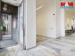 Prodej obchodního prostoru, Chomutov, Palackého, 159 m2