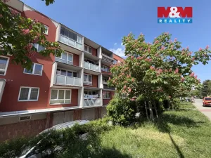 Prodej bytu 3+kk, Ostrava - Mariánské Hory, U Dvoru, 59 m2