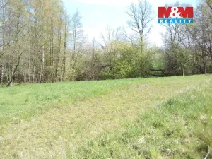 Prodej zahrady, Horní Bludovice - Prostřední Bludovice, 8295 m2