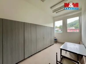 Pronájem výrobních prostor, Město Albrechtice, L. Janáčka, 410 m2