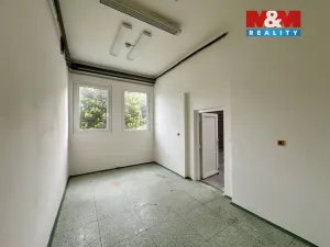 Pronájem výrobních prostor, Město Albrechtice, L. Janáčka, 410 m2
