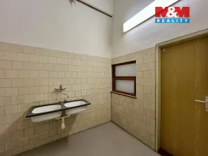 Pronájem výrobních prostor, Město Albrechtice, L. Janáčka, 410 m2