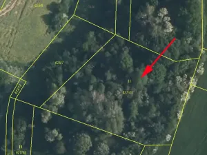 Prodej louky, Dolní Slivno, 3332 m2