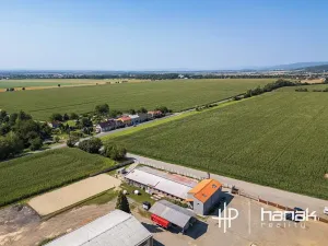 Prodej výrobních prostor, Dolany, 900 m2