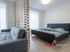 Pronájem bytu 1+kk, Hradec Králové - Nový Hradec Králové, Antonína Petrofa, 45 m2