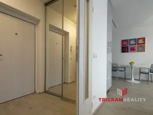 Pronájem bytu 1+kk, Hradec Králové - Nový Hradec Králové, Antonína Petrofa, 45 m2