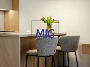 Pronájem bytu 1+kk, Brno, Bratislavská, 45 m2