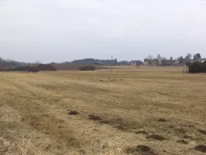 Dražba louky, Tojice, 1003 m2