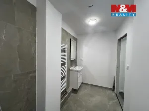 Pronájem bytu 1+kk, Český Těšín, Mlýnská, 72 m2