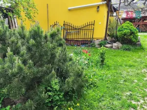 Pronájem bytu 2+1, Mohelnice, Horní Krčmy, 70 m2