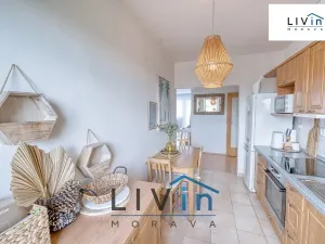 Pronájem bytu 2+1, Olomouc, Horní lán, 78 m2