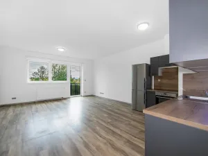 Pronájem bytu 2+kk, Plzeň - Severní Předměstí, Bolevecká, 58 m2