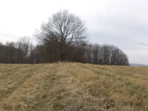 Prodej pole, Malečov - Řetouň, 939 m2