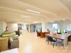 Pronájem obchodního prostoru, Tábor, Vančurova, 490 m2