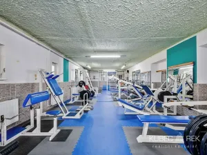 Prodej komerční nemovitosti, Soběslav, 514 m2