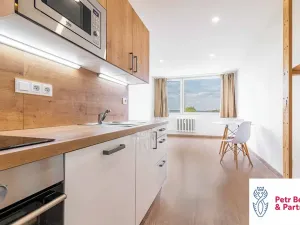 Prodej bytu 2+kk, Rakovník, V Lukách, 41 m2