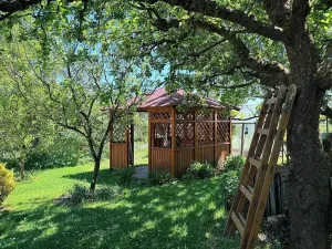 Prodej chaty, Vysoké Mýto, 40 m2