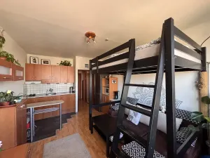 Prodej bytu 1+kk, Praha - Záběhlice, Jabloňová, 24 m2