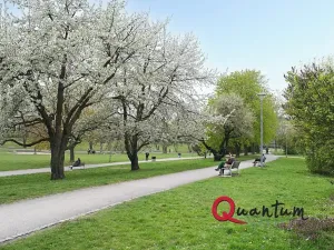 Pronájem bytu 2+1, Praha - Prosek, Jablonecká, 55 m2
