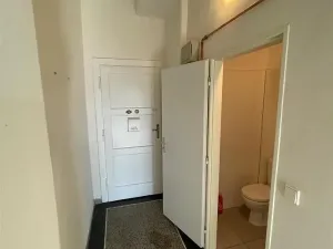 Pronájem bytu 1+kk, Praha - Nusle, V Horkách, 35 m2
