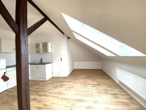 Pronájem bytu 1+kk, Brno - Černovice, Řehořova, 31 m2